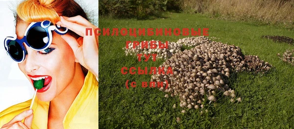 тгк Снежногорск