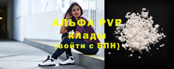 тгк Снежногорск