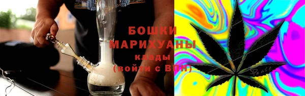 тгк Снежногорск
