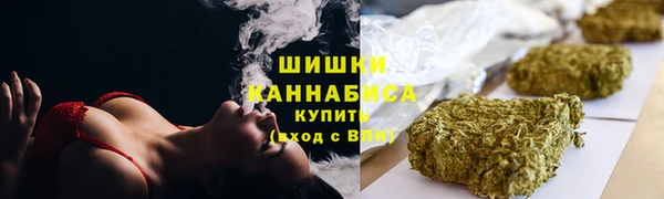 тгк Снежногорск