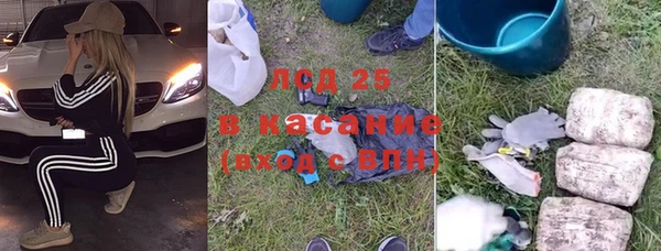 тгк Снежногорск