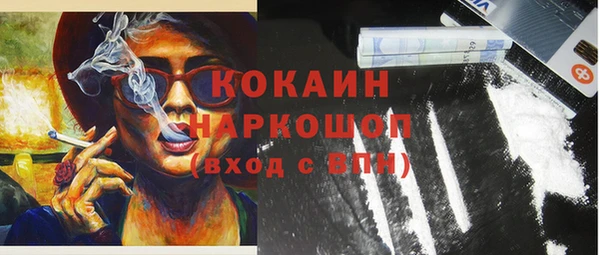 тгк Снежногорск