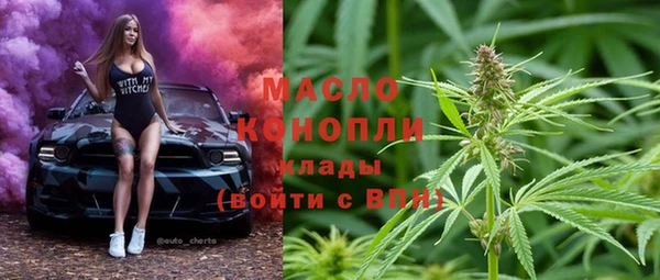тгк Снежногорск