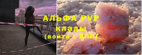 шишки Инсар